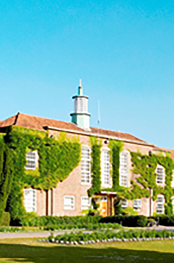 The Annual International Conference 2018